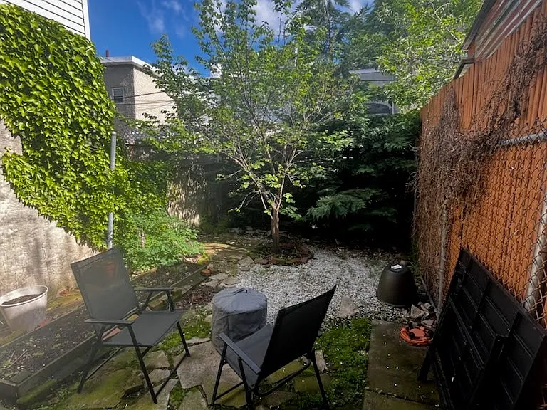 Back yard