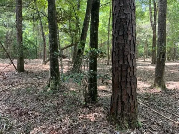 Rosin Ridge Rd, Red Level, AL 36474