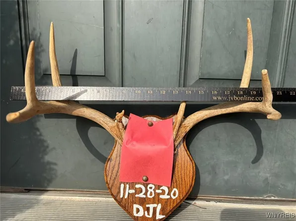 Scott Hollow Rd #4, Alma, NY 14708