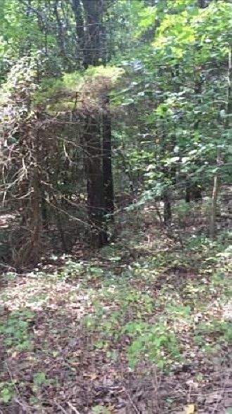 1st image of #00 Crieff Ln