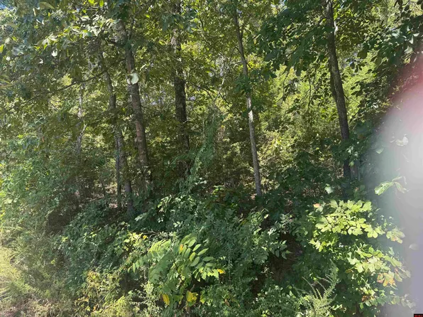 Lynette Ave, Bull Shoals, AR 72619