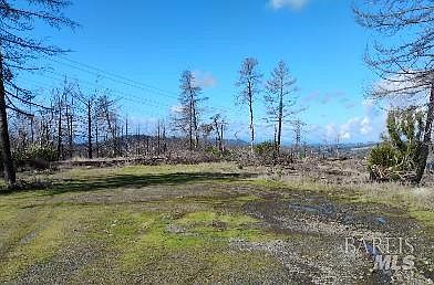 2nd image of 1579 Los Alamos Road