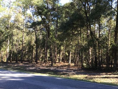 136 County Road Dowling Park, Live Oak, FL, 32060