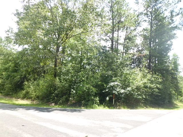 2nd image of 820 E Lakeshore Dr