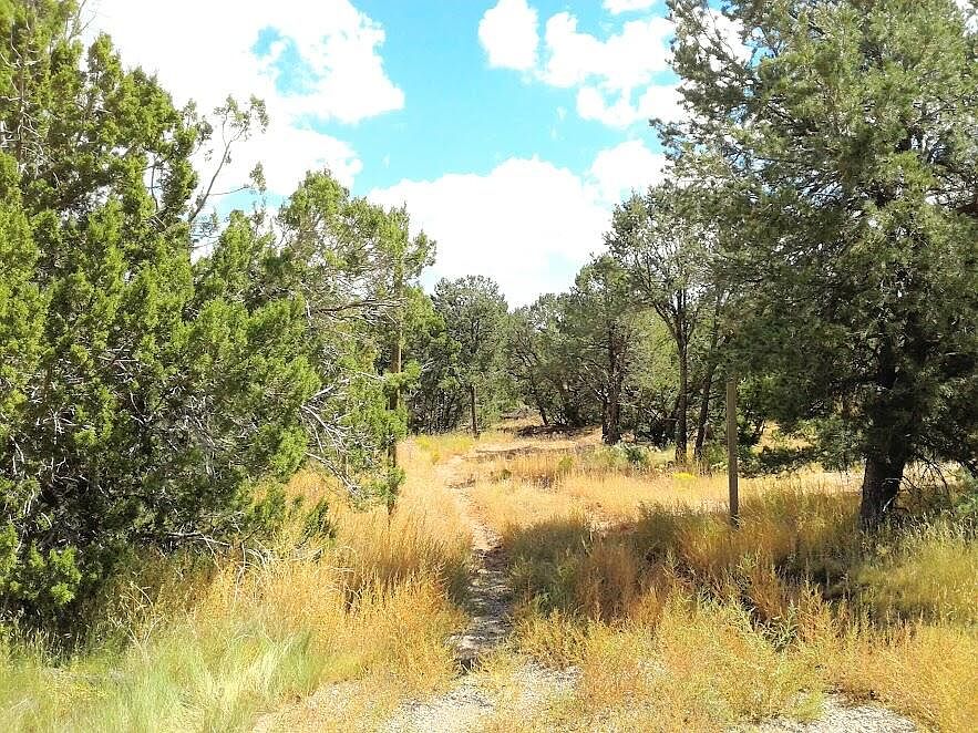 2nd image of 165 Jesse James Rd