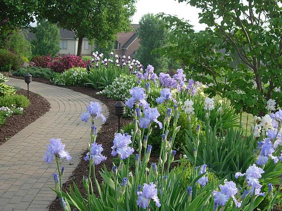 Professional Landscaping