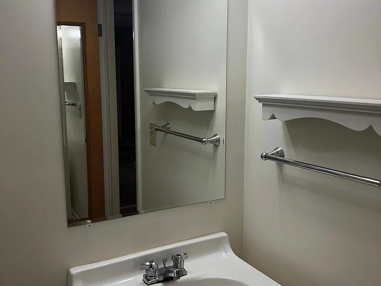 Lower Level Bathroom