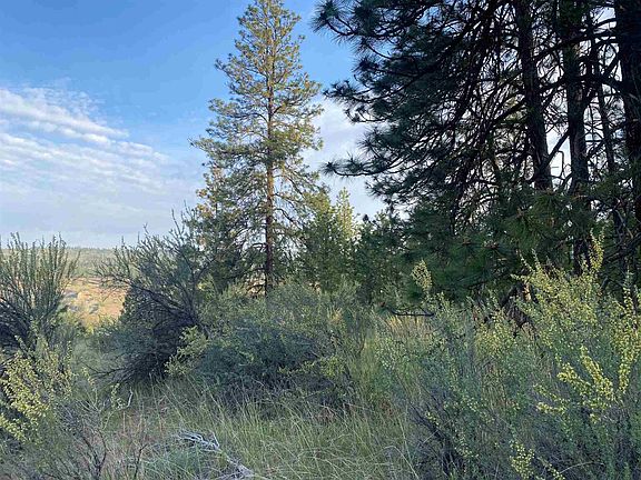 4th image of 45176 Cougi Ln N