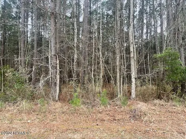 Lot 76 Mcgowan Road, Bath, NC 27808