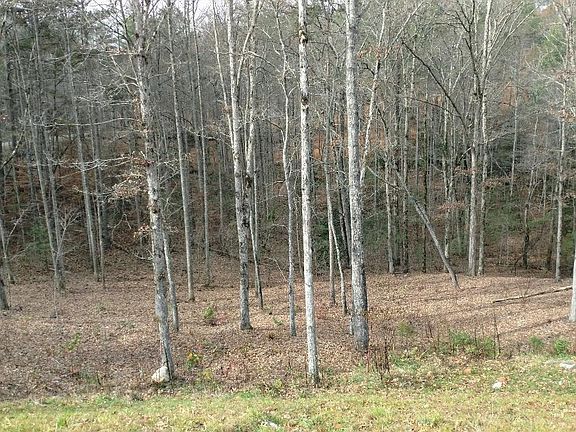 5th image of LOT 116 Jakes Landing Way