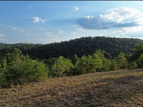 0 Jaybird Ln, South Shore, KY 41175