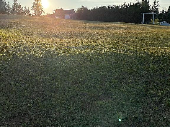 View from the front of the p