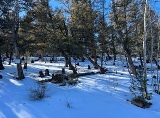 2885 Middle Fork Vis, Fairplay, CO 80440