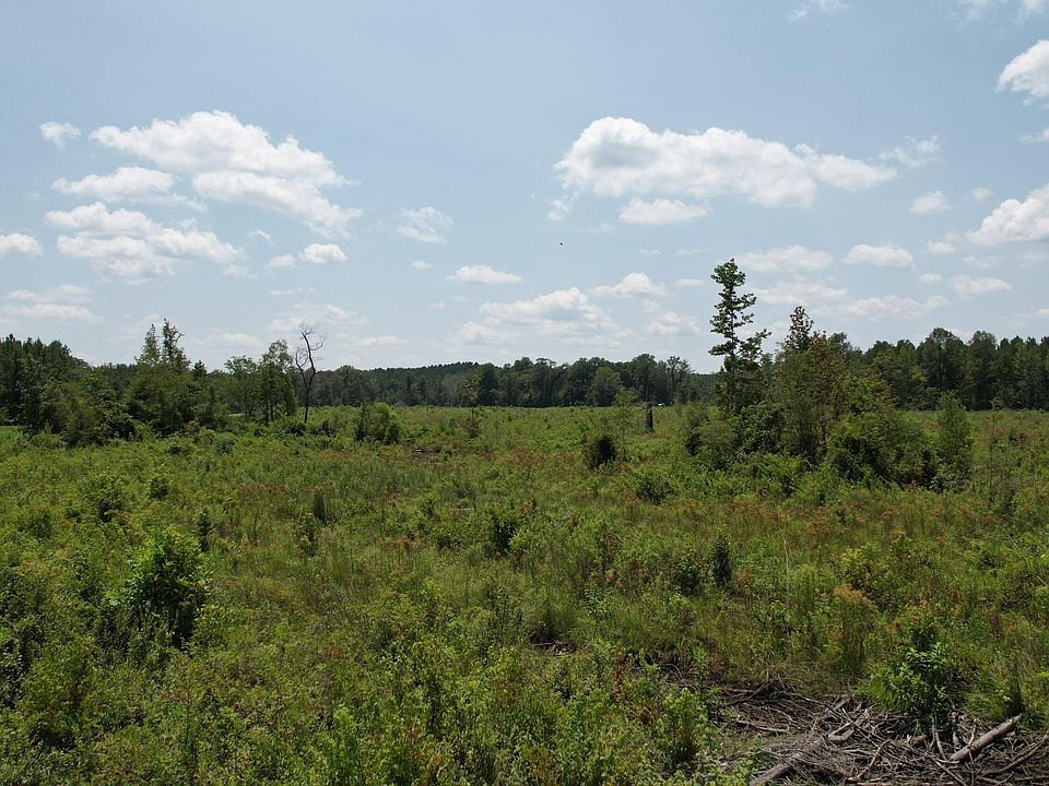 0 Hickory Nut Rd, Little Rock, MS 39337 MLS 4054519 Zillow