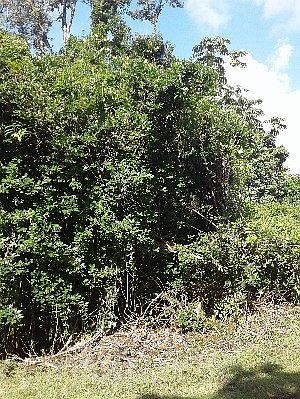 1st image of Malolo St Lot 10