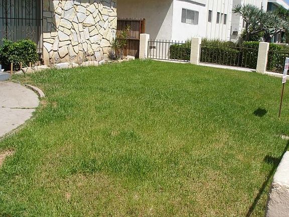 3rd image of 2043 S Bedford St APT 1