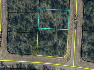 LOT 19 Estate Ave #20, Chipley, FL 32428