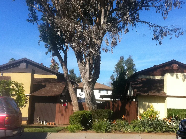 1240 Palomar Pl #D — Photo 22