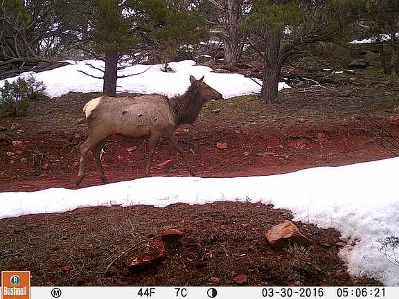 4th image of Tbd Deer Park Ct