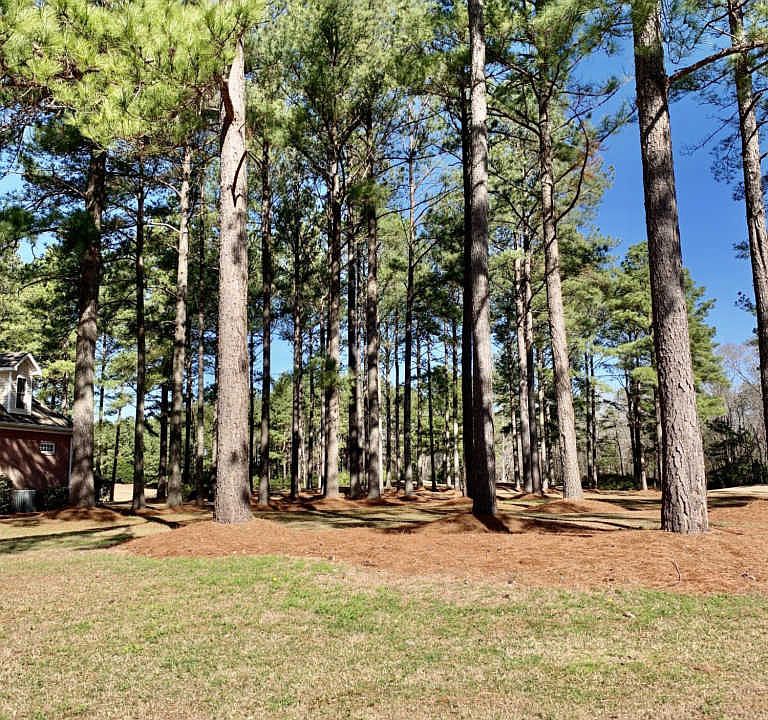 1st image of 206 Ticino Ct