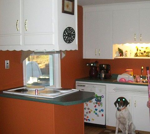 Cute and Cozt kitchen