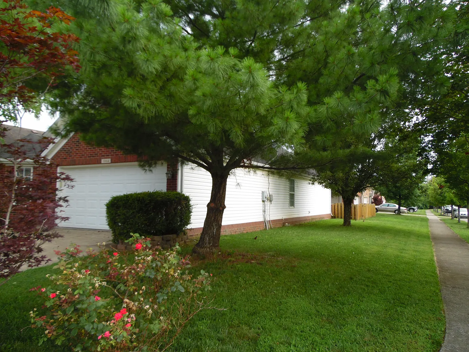 3 bed, 2.0 bath, 2666 sqft, $2,200 — Photo 3