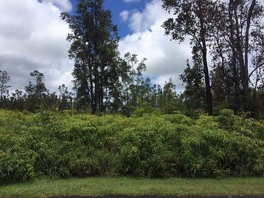 1st image of Kawakawa St Lot 637