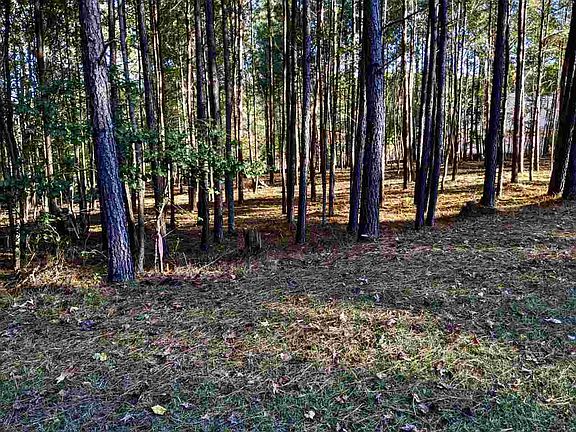4th image of 473 Carolina Club Dr