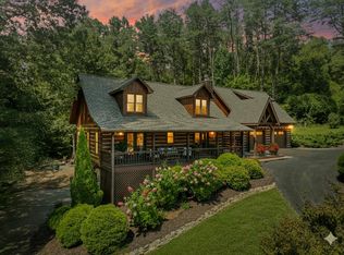 60 Lake Ridge Dr, Blue Ridge, GA 30513