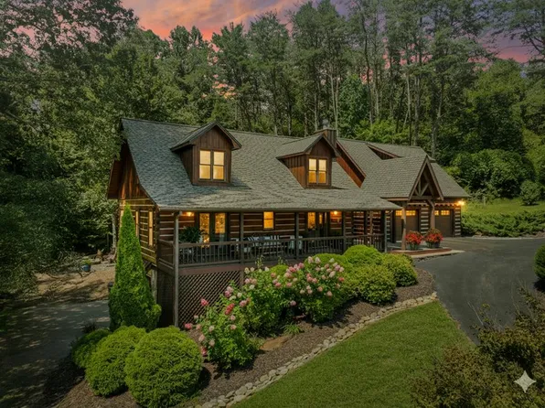 60 Lake Ridge Dr, Blue Ridge, GA 30513