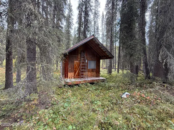 341 Plus Trail Only Suslositna Creek Trl, Tok, AK 99780