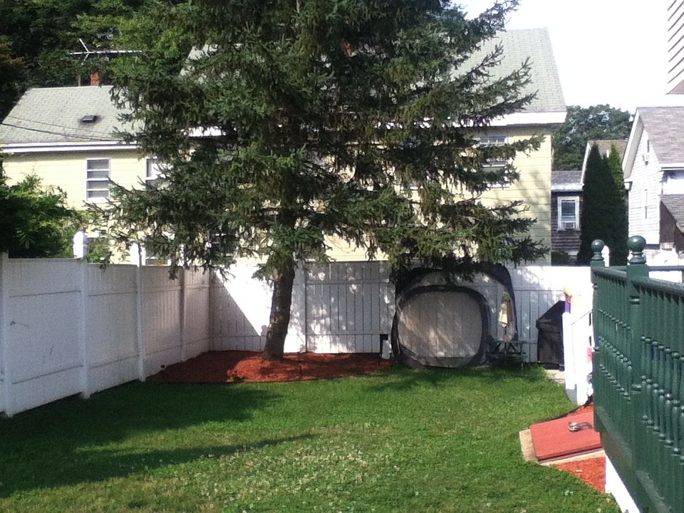 back yard