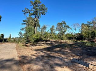 0 Lizard Lope Rd, Columbia, AL 36319