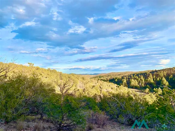 12 Perch Dr, Timberon, NM 88350