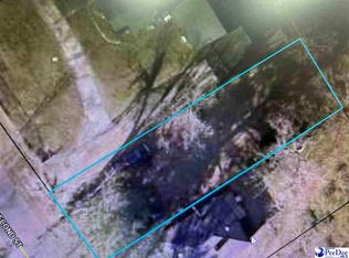 401 N 2nd St, Hartsville, SC 29550