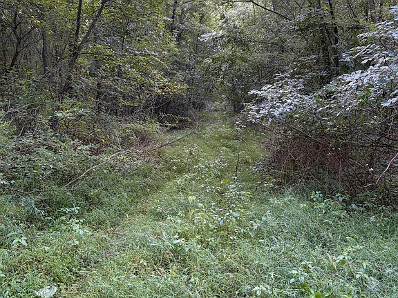 3rd image of 4416 Cronk Rd