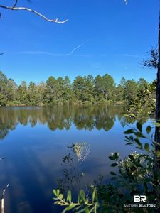 14780 Bellingrath Rd, Coden, AL, 36523