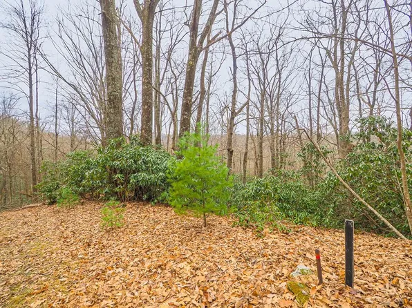 Tbd Spring Lure Trl, Fancy Gap, VA 24328