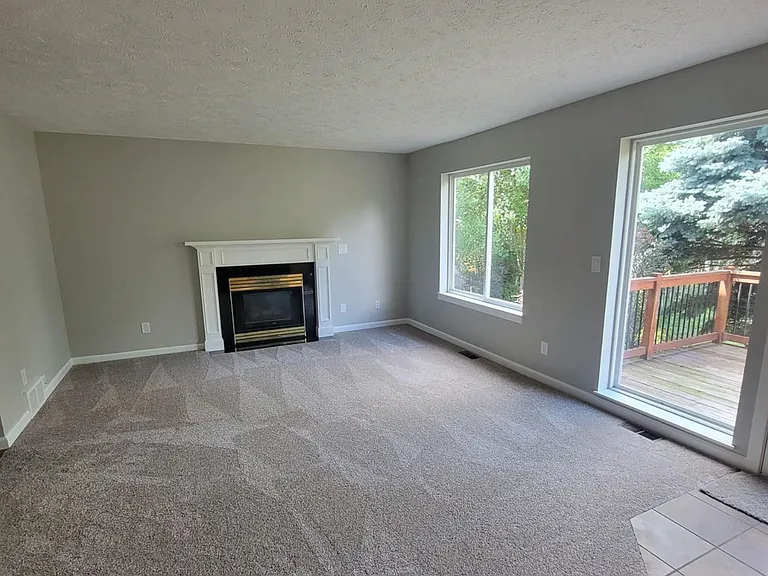 gas fireplace
