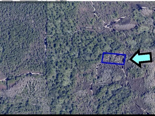 None Unknown, Grant, FL 32949