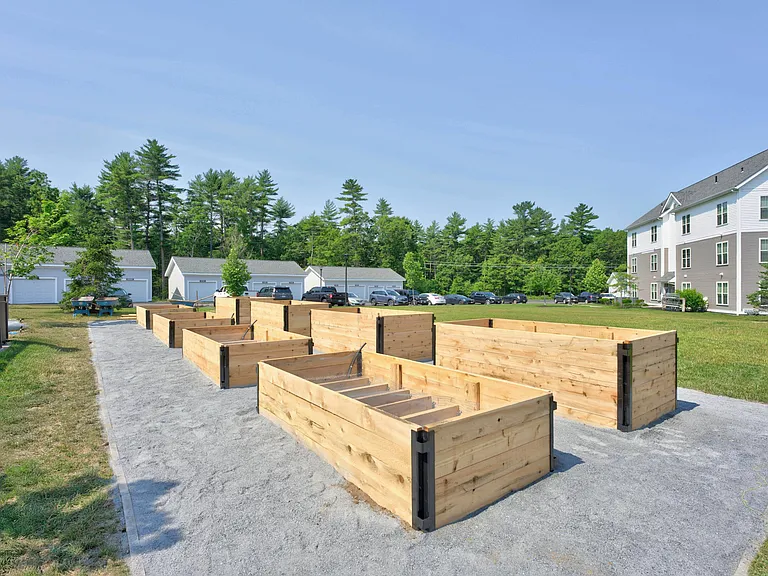 Grow, Harvest & Connect in the Community Garden