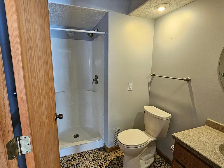 Lower level bathroom