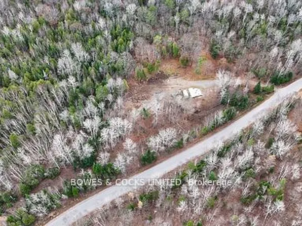 154 Little Ireland Rd, Brudenell, Lyndoch And Raglan, ON K0L 2M0