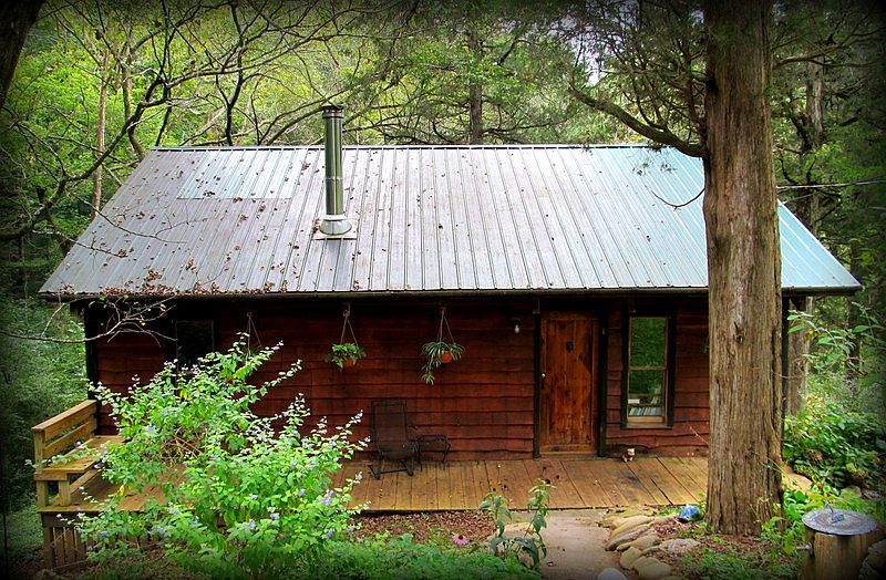 Cabin Nestled in the Woods
