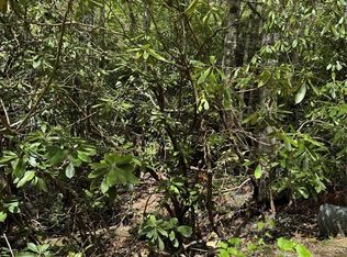 47 Hornbeam Rd #234, Newland, NC 28657