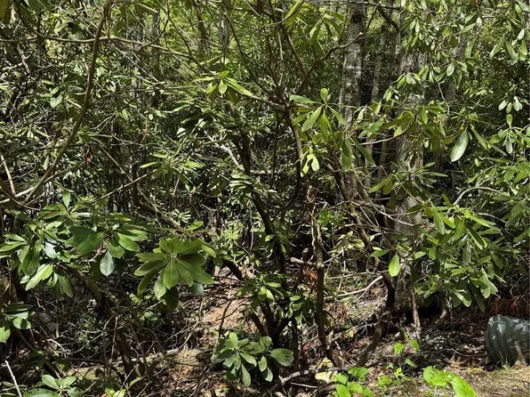 47 Hornbeam Rd #234, Newland, NC 28657