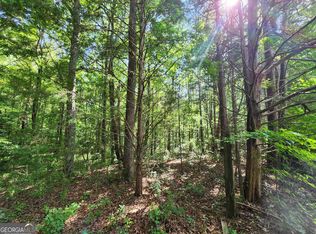 0 Russell Rd TRACT 3, Milner, GA 30257