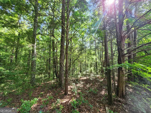 0 Russell Rd Tract 3, Milner, GA 30257