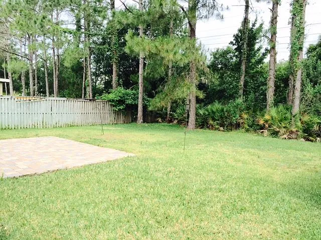 Backyard Side View