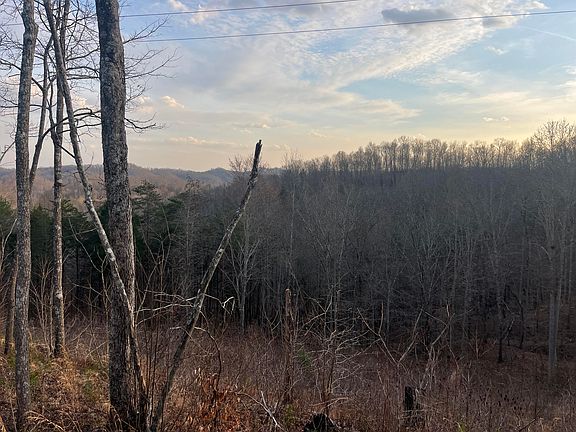 2nd image of 617 Walk Log Br